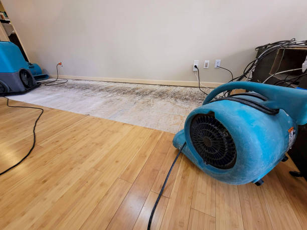 Professional Structural Drying technician working in Rochester, IL